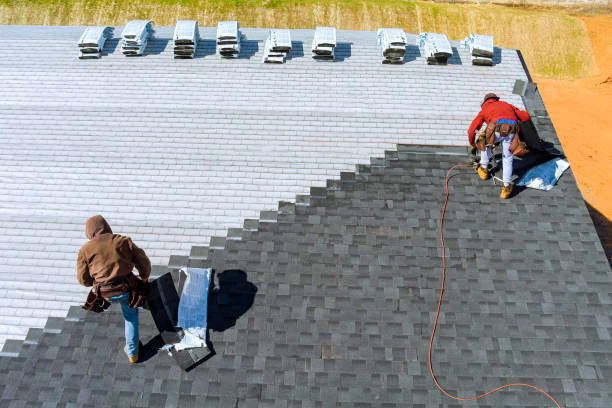 Best Roof Gutter Cleaning  in New Albany, MS