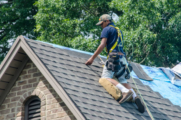 Best Roof Replacement Cost  in New Albany, MS